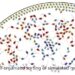 simulated microrobots