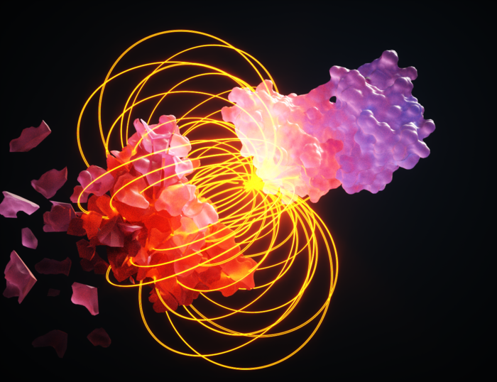 protein interactions