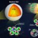 neutron star insight from particle collisions