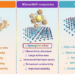 Illustration of the characteristics of MOF, MXene, and MXene/MOF composites and their derivatives.