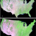 Clean Landsat composite image