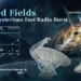 Twisted fields around a mysterious fast radio burst