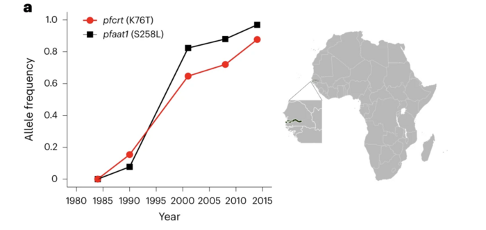 Malaria drug resistance graph