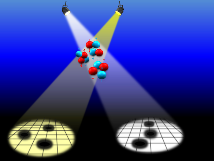 The neutrons and protons