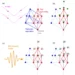 Magenta dashed lines with arrows illustrate diffraction of hard femtosecond x-ray pulses off the lattice planes of the Bi crystal.