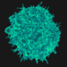 t cells