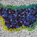 Ninjurin-1 proteins form holes in the cell membrane