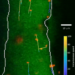 Particle tracking and PVS boundaries in Plane A