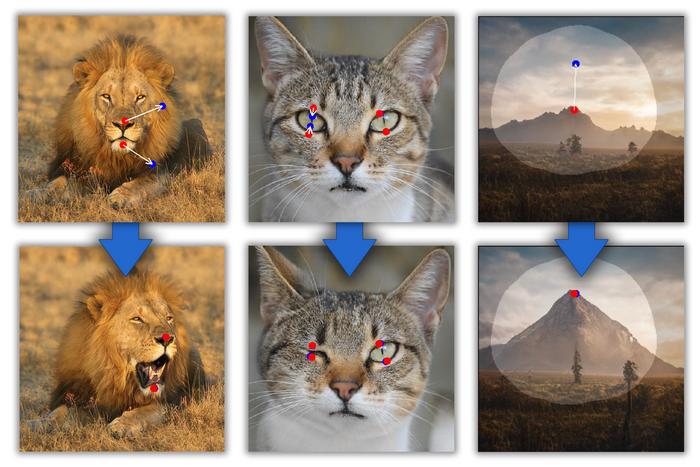 AI method "DragGAN" promises to revolutionize digital image processing