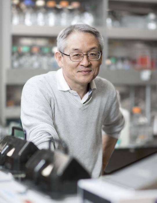 LJI Professor Toshiaki Kawakami, M.D., Ph.D.