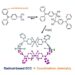 Combining dynamic covalent chemistry and coordination chemistry to synthesize new macrocyclic molecules