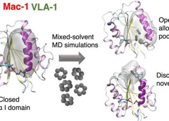 Finding allosteric pockets in integrins
