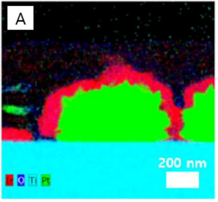 [Figure1] Cross-section image of the supported catalyst