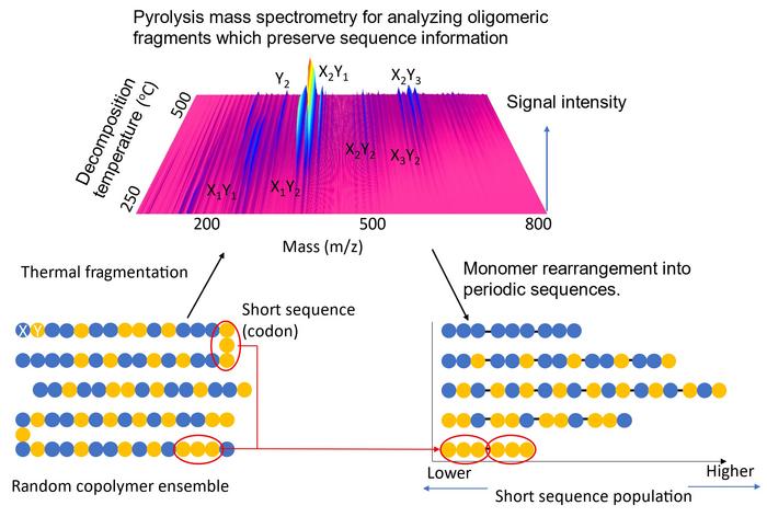 Short sequence quantification via monomer rearrangement into periodic sequences repeating a single codon species.