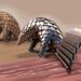 Pangolin the inspiration for medical robot