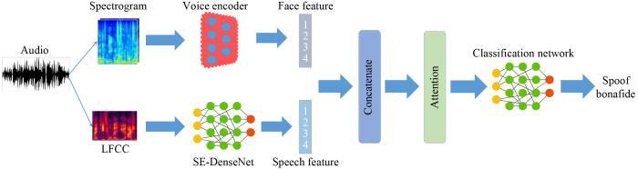 Physiological-physical feature fusion for automatic voice spoofing detection