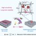 Schematic diagram of developing 3D mesoporous biosensing-membrane with neighborhood nanostructures as inspied by the structure of cytomembrane