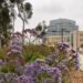 UC San Diego Health Medical Campus La Jolla