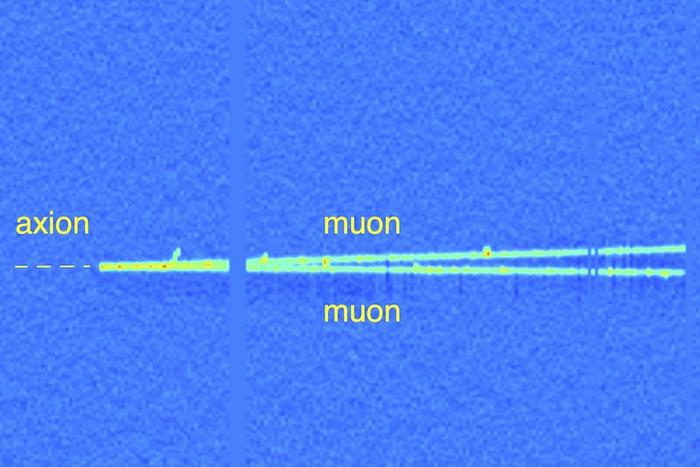 Axion decaying into muons