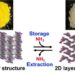 Compound that stores and extracts ammonia using a chemical reaction