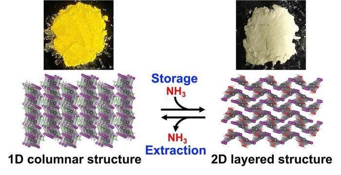 Compound that stores and extracts ammonia using a chemical reaction