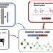 Schematic diagram of the prediction process for the turnover numbers of enzymatic reactions