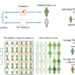 Figure 2 Visual illustrations of the basic concepts in causal inference