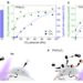 Photocatalytic performance and reaction kinetics