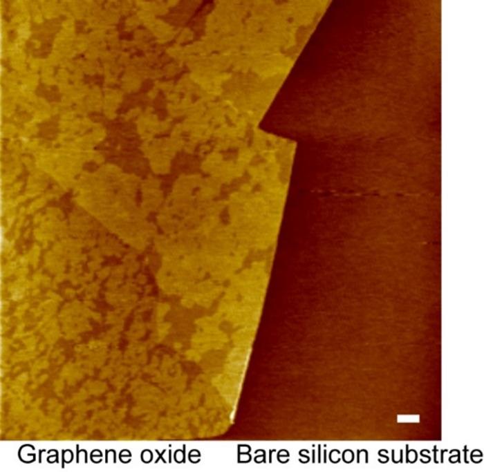 Localization of lipid domains on graphene oxide