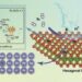 Hexagonal MBenes-supported single atom catalysts for nitrogen reduction to ammonia