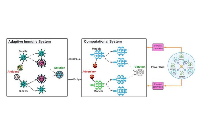 Ren Wang Immune Cell AI Diagram