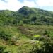 Typical mosaic landscape in north-eastern Madagascar