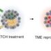 Closing of the cancer-immunity cycle