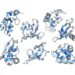 New method expertly evaluates protein folding stability on a large scale