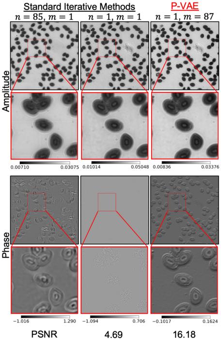 A newly developed physics-informed variational autoencoder (P-VAE) framework