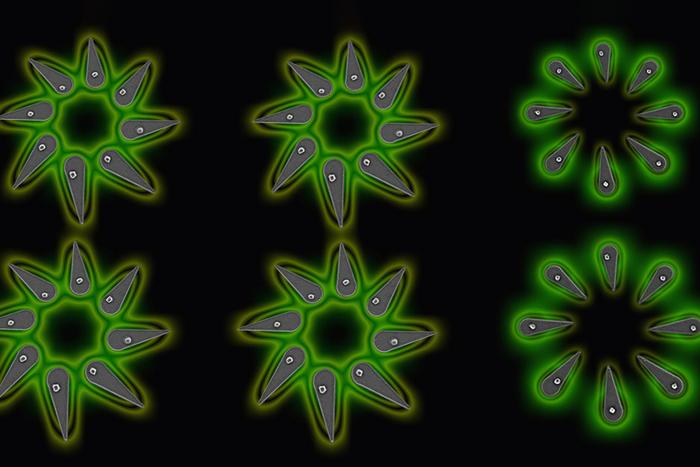 Perovskite Nanocrystals