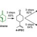 Conversion of β-pinene into paracetamol and ibuprofen