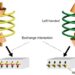 Concept of CISS-based enantioseparation for helical supramolecules by using magnetized substrates.