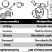 Metabolic microeconomics