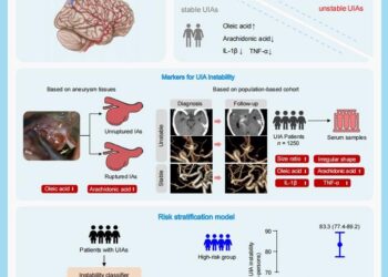 The markers and risk stratification model of intracranial aneurysm instability in a large Chinese cohort
