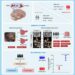 The markers and risk stratification model of intracranial aneurysm instability in a large Chinese cohort