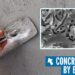 The rise of bio-concrete (video)