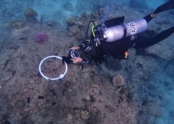 Macrophotogrammetry setup on the Great Barrier Reef