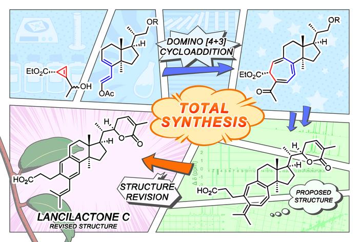 Synthesis from start to success