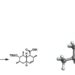 Synthesis scheme (left) and molecular structure (right) of tanzawaic acid B.