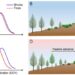 Warming-induced phenological mismatch between trees and shrubs explains alpine treeline dynamics