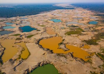 Shallow mining ponds in the La Pampa region of Madre de Dios, Peru