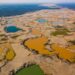 Shallow mining ponds in the La Pampa region of Madre de Dios, Peru