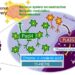 Lipid metabolism triggering brain-autonomous neural repair after ischemic stroke