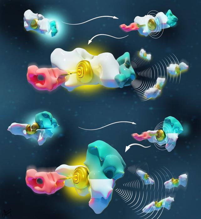 Languages at the basis of molecular communication